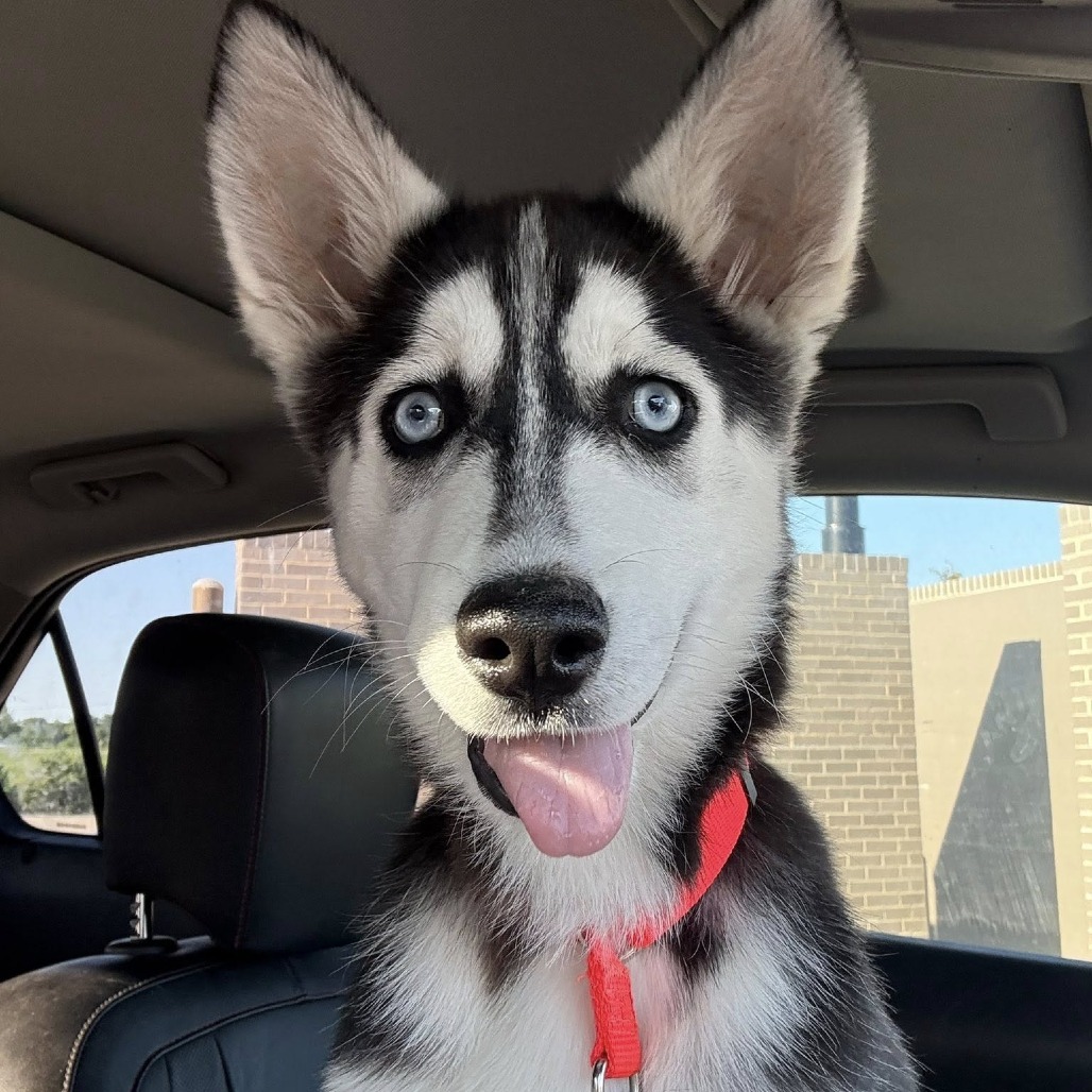 Kaiya