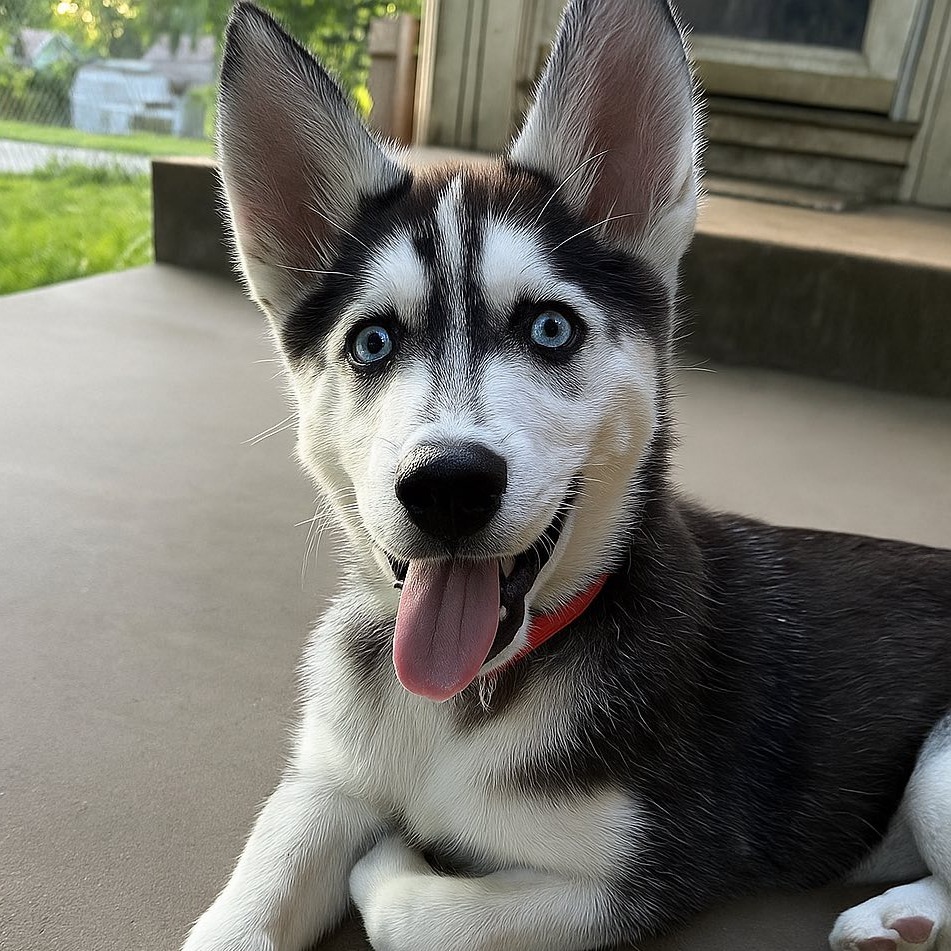 Kaiya