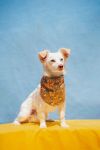 CASPER photo 5
