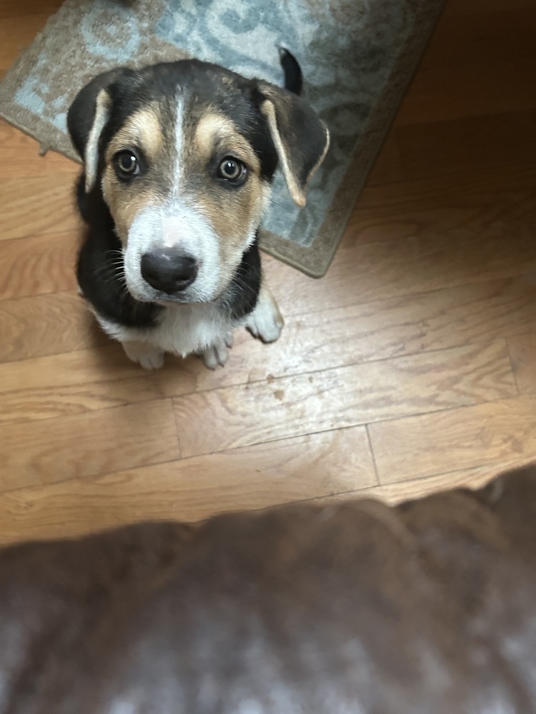Chili