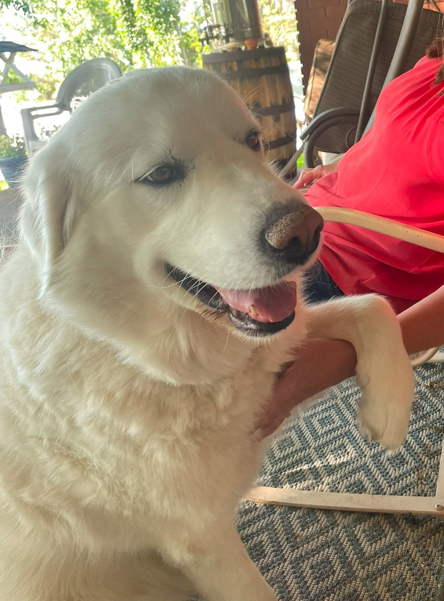 Sadie