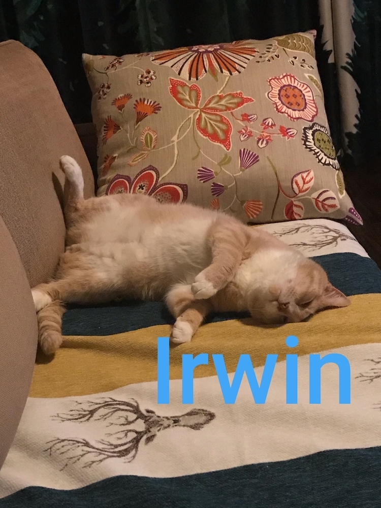 Irwin 8885
