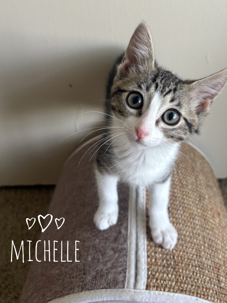 Michelle 2236