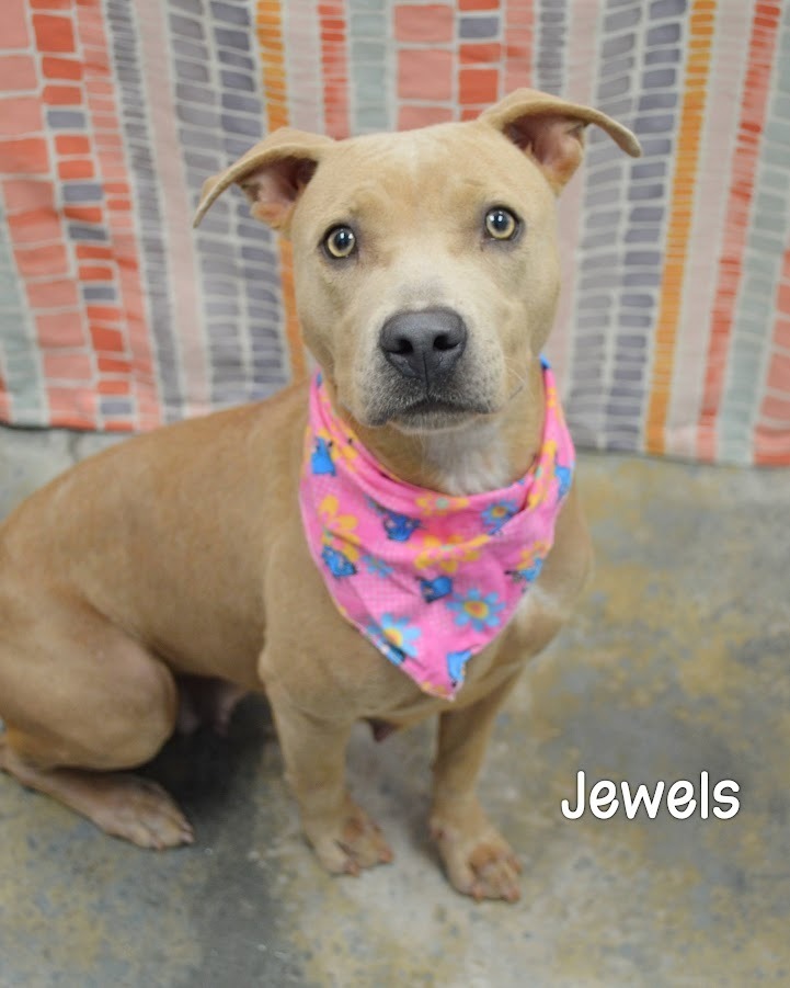 Jewels
