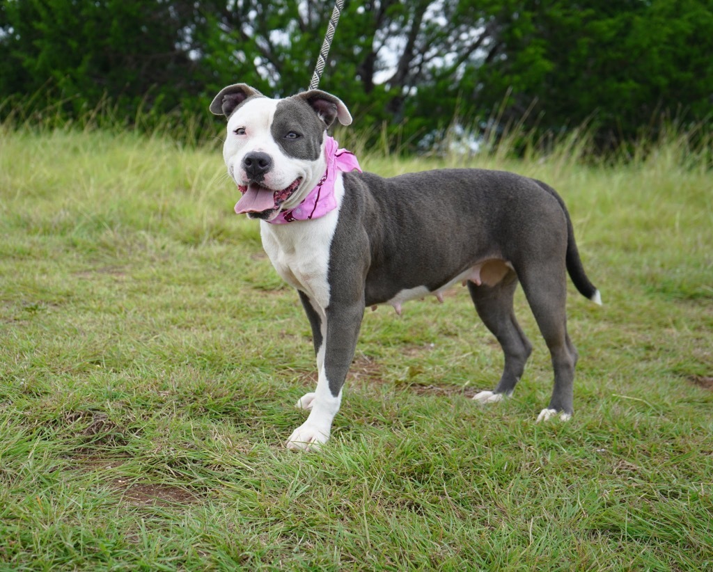 Sweet Girl