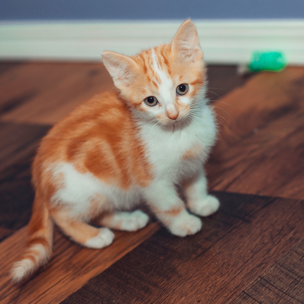 Copper