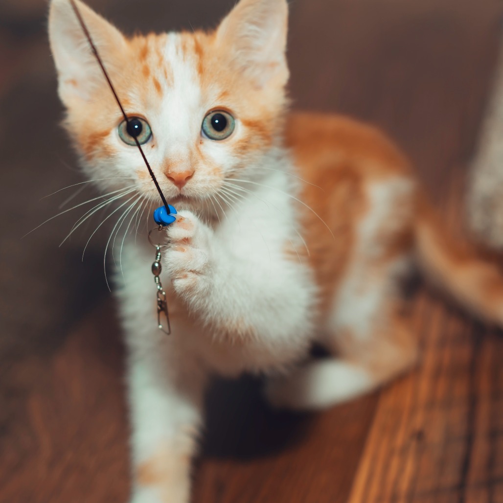 Copper