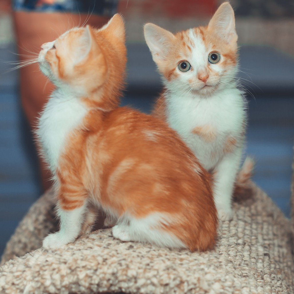 Copper