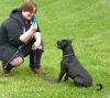 Thor (courtesy post) photo 1
