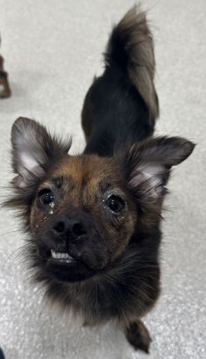 Photo of Margarita