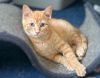 Mongo the Mighty photo 6