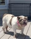 Luna Claire photo 3