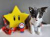 Princess Peach CB26 photo 5