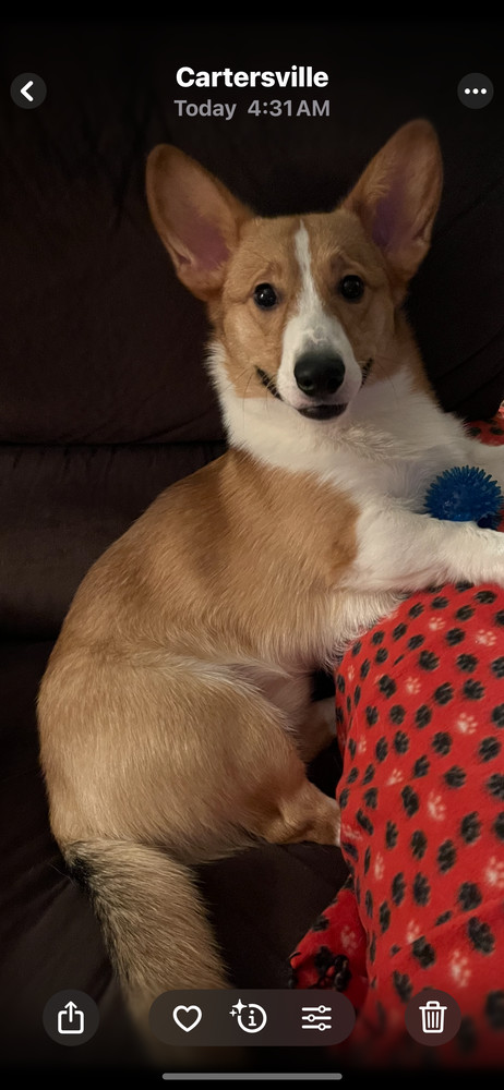Charlie