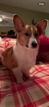 Charlie photo 2