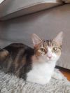Fanette photo 1