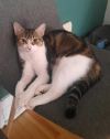 Fanette photo 2