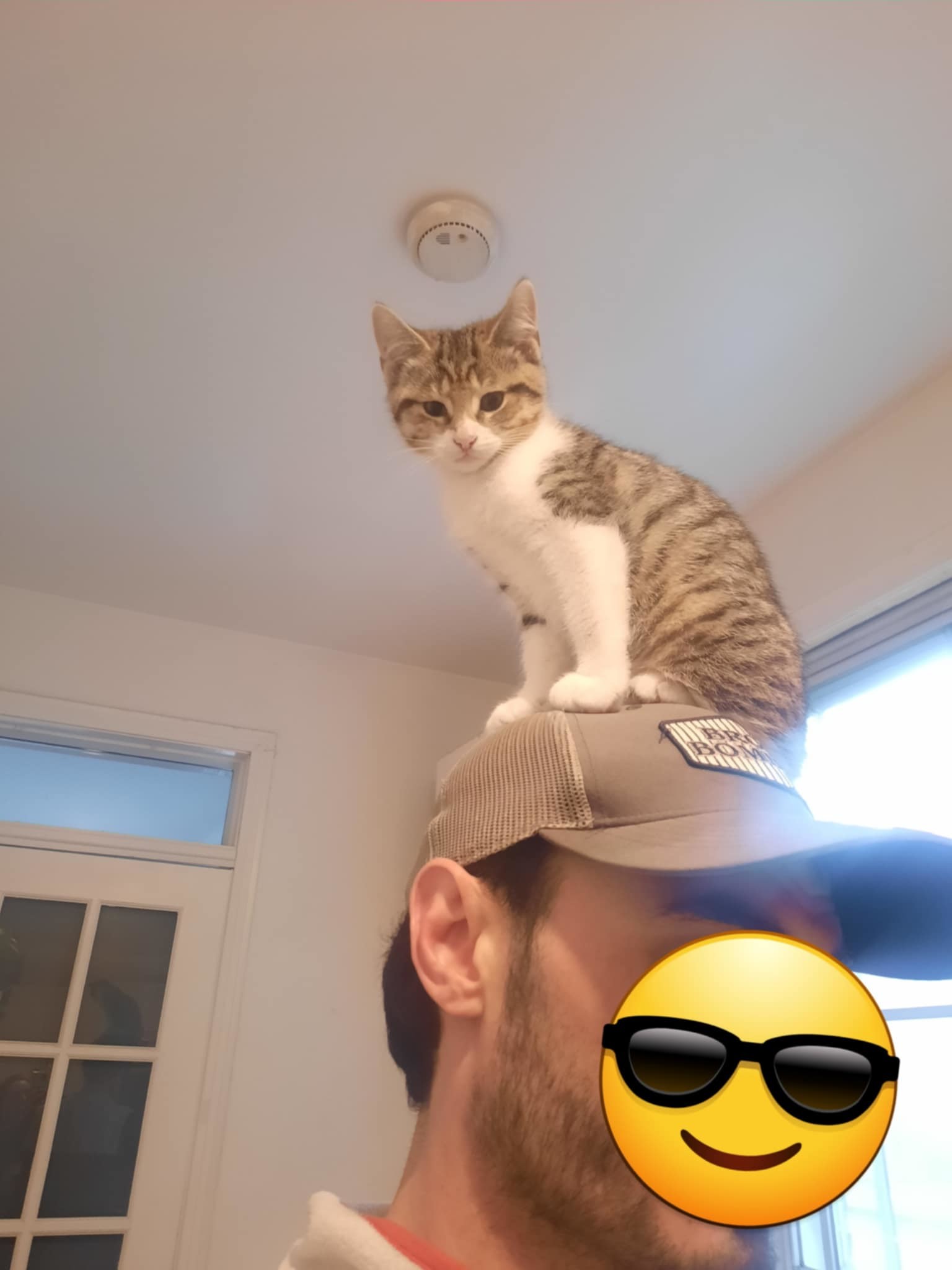 Pirate
