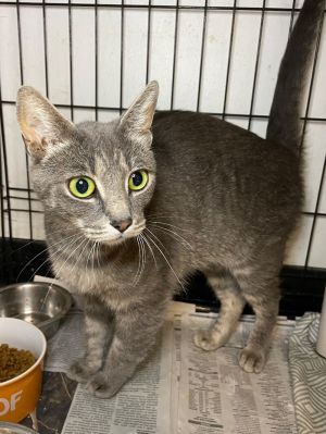 RuPaw, Adult Female unknown