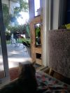 Sunny photo 6
