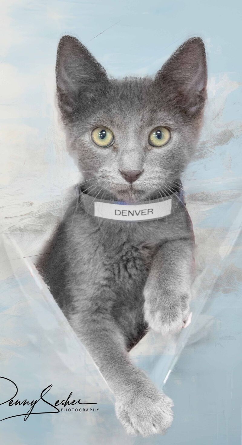 Denver