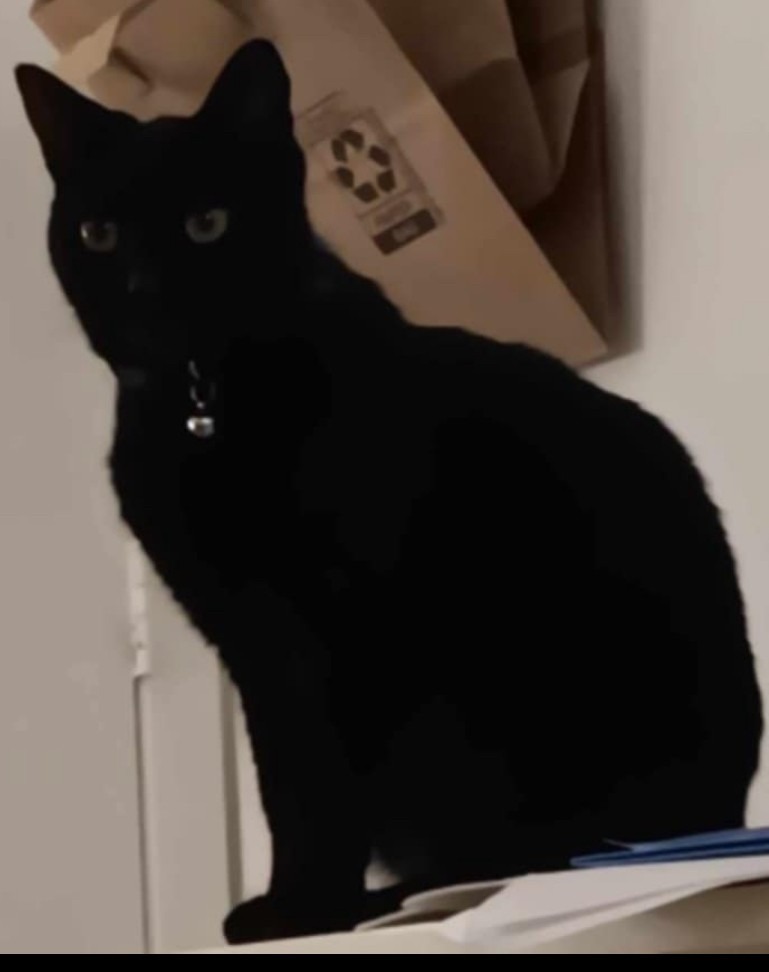 Chunk
