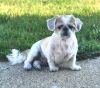 Edgar photo 1