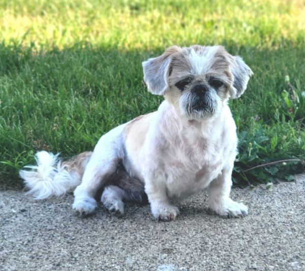 Edgar