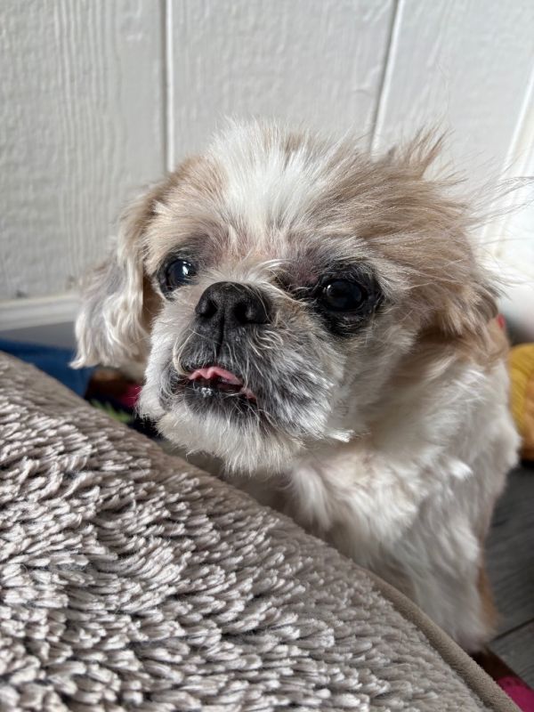 Edgar thumbnail 2