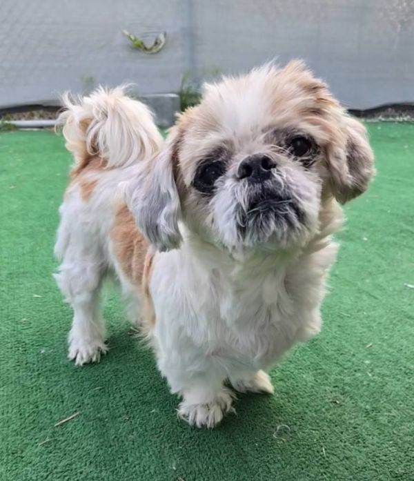 Edgar thumbnail 3