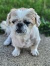 Edgar photo 5