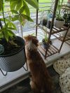 Maxie photo 2