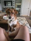 Maxie photo 6