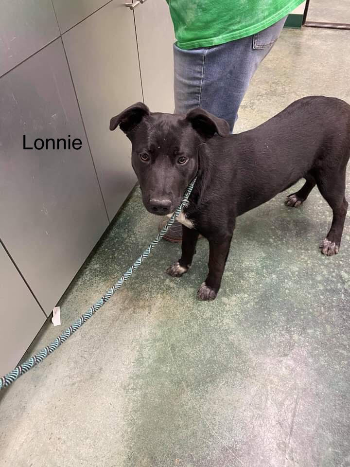 Lonnie