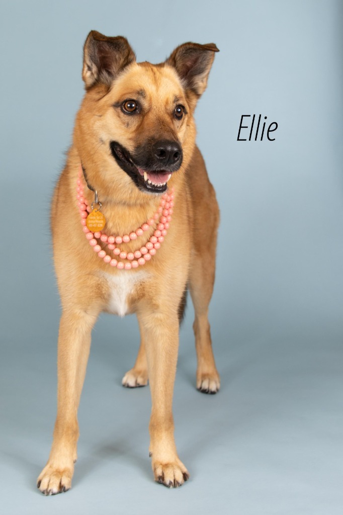 Ellie