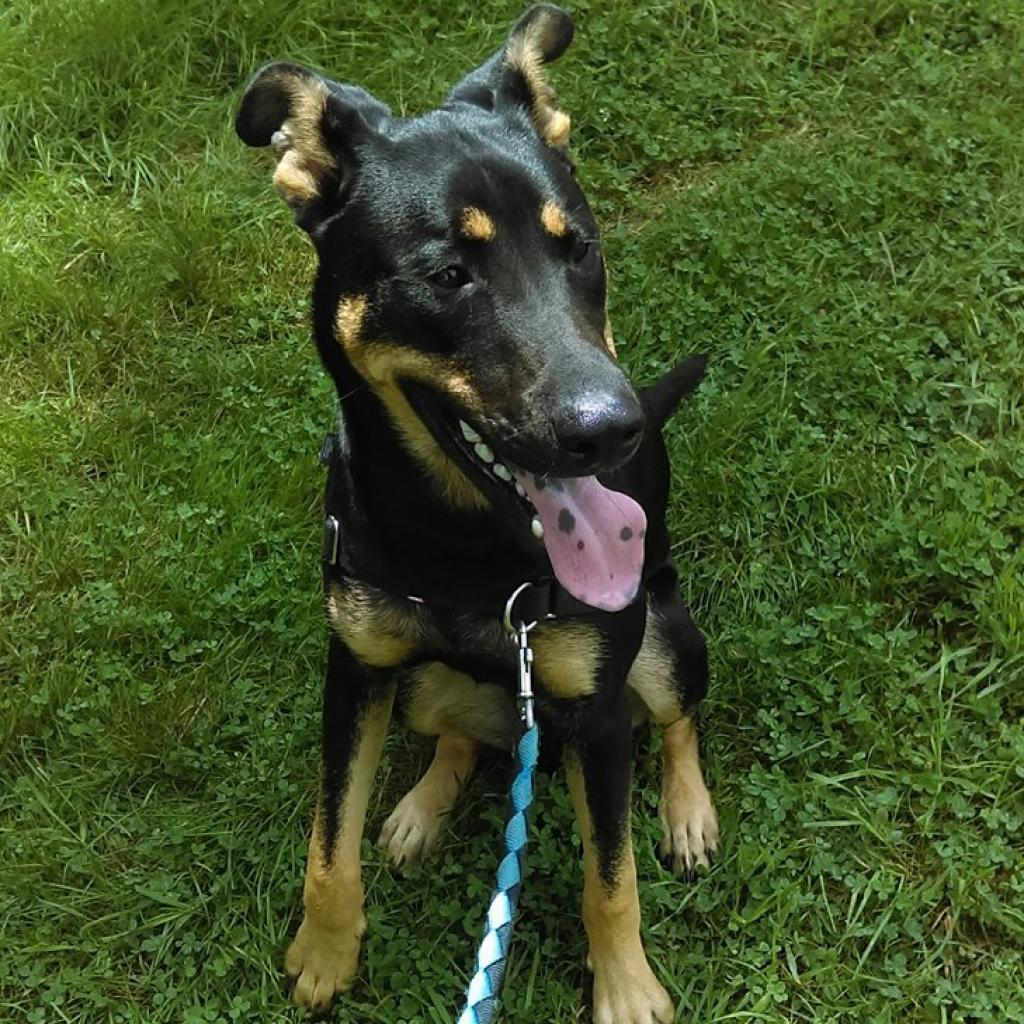 Ruger