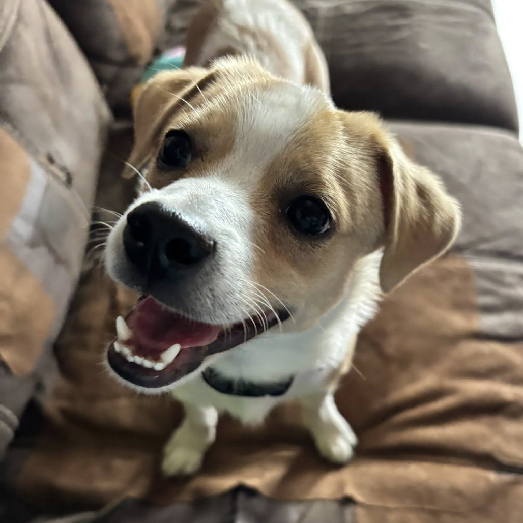 Keno