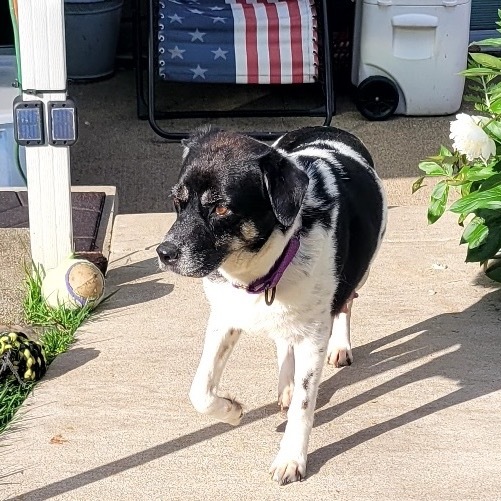 Penny