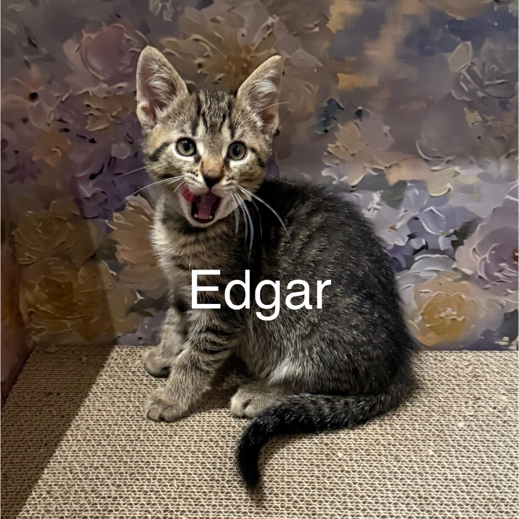 Edgar