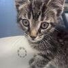 Edgar photo 2