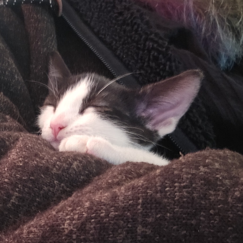 Mickey