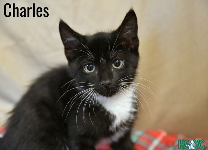 Charles