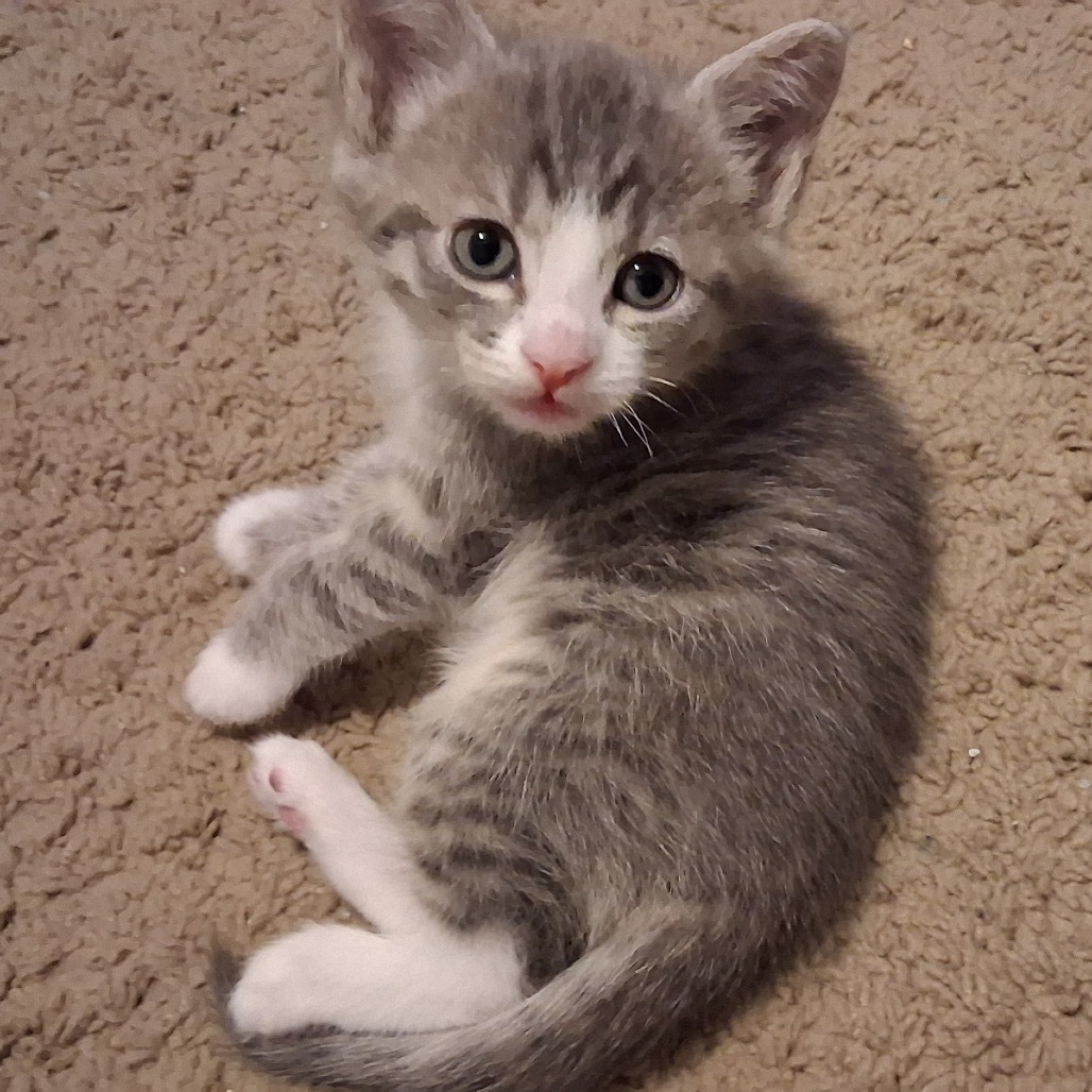 Charlie