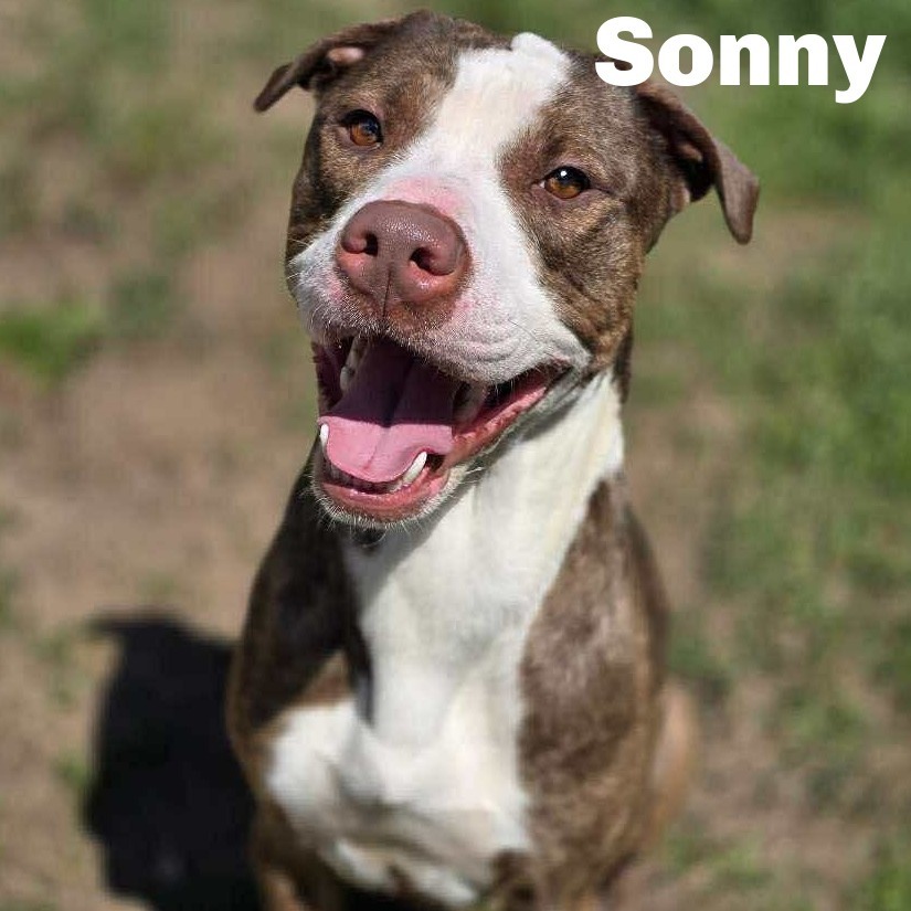 Sonny 250425