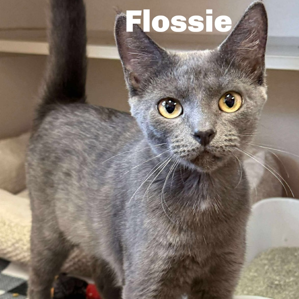 Flossie 250408