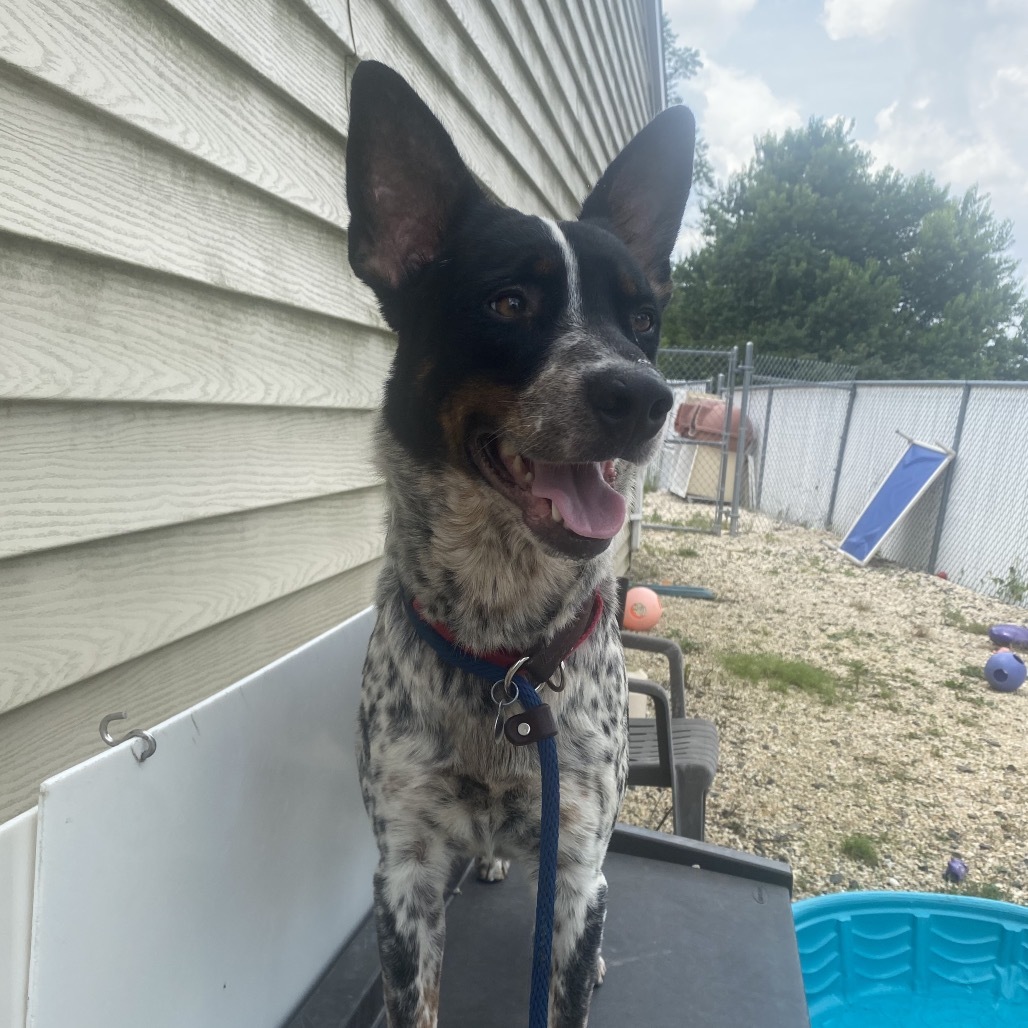Remington &#34;Remi&#34;