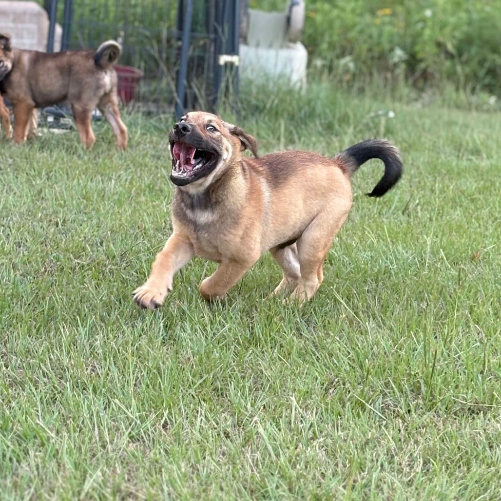 Charlie
