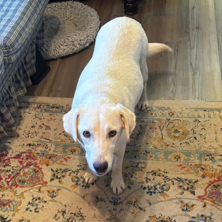 Maggie (Mama)