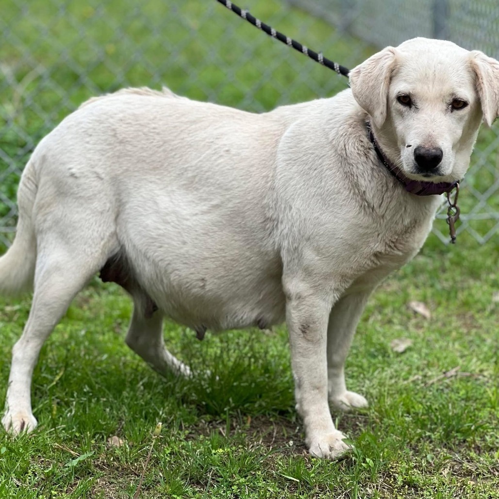 Maggie (Mama)