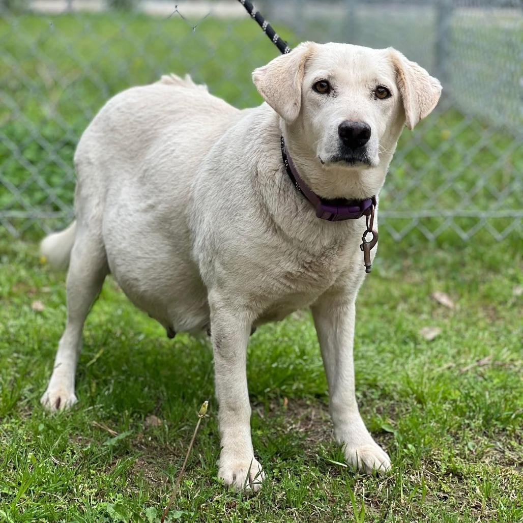 Maggie (Mama)